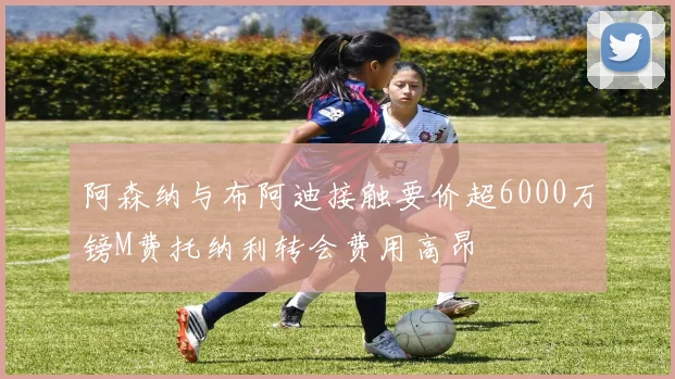 阿森纳与布阿迪接触要价超6000万镑M费托纳利转会费用高昂