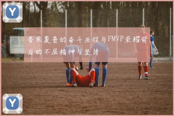 香农夏普的奋斗历程与FMVP荣耀背后的不屈精神与坚持